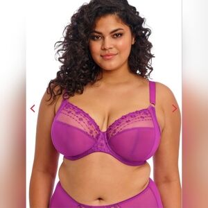 Elomi NWT Women's Matilda Bra Fucsia Size 40 I
